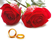 10 годовщина свадьбы -  розовая  свадьба 