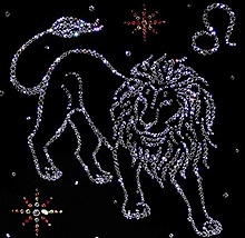 Гороскоп на 2011 год для Льва